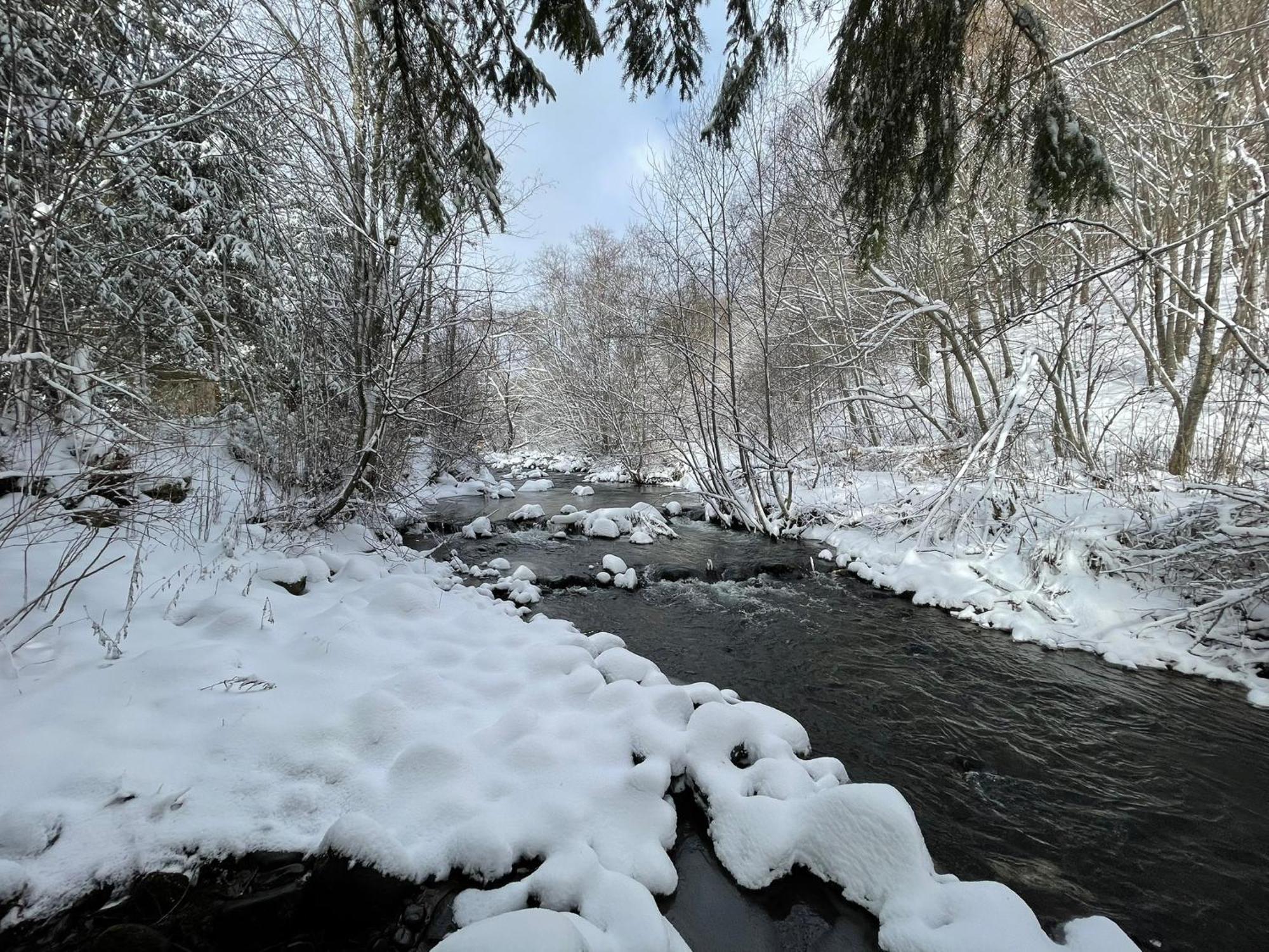 Selters Guesthouse Lueta Zewnętrze zdjęcie